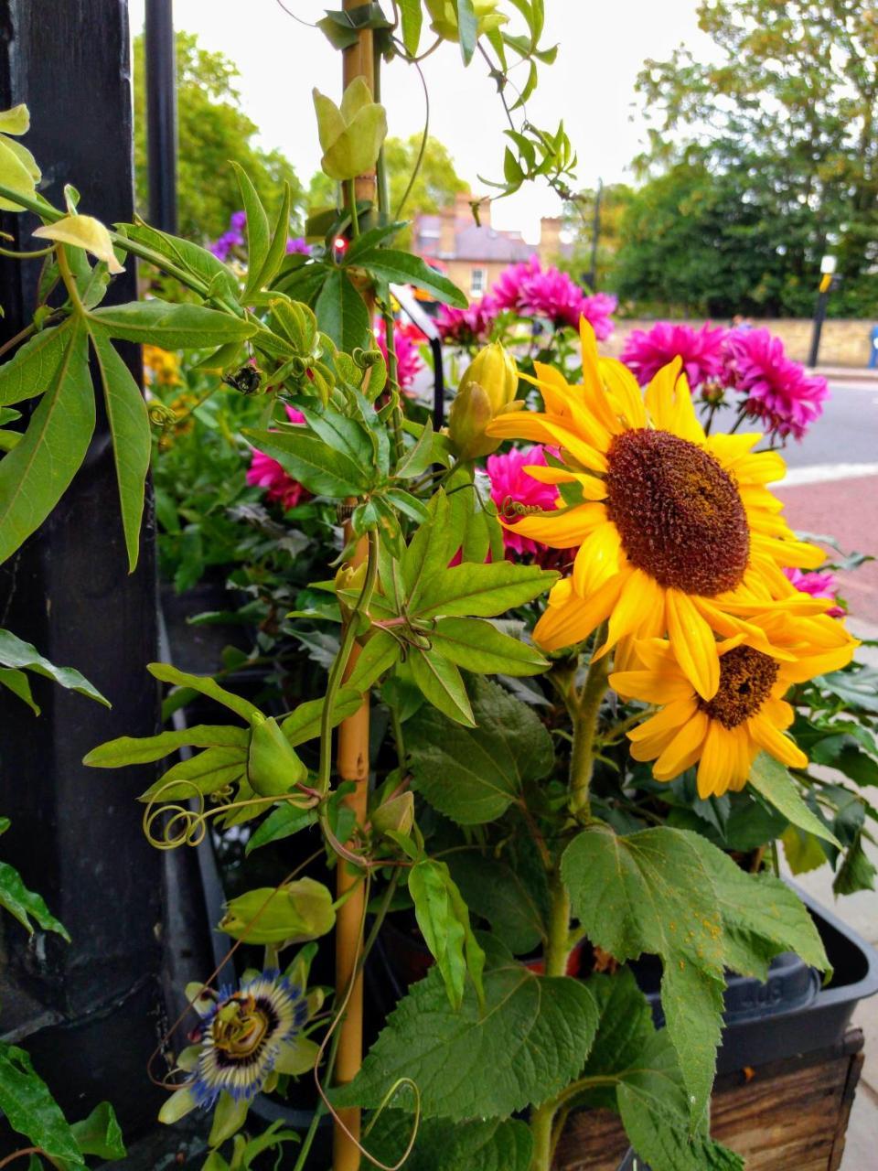 Cambridge Farmers Outlet Cambridge (Cambridgeshire) Bagian luar foto